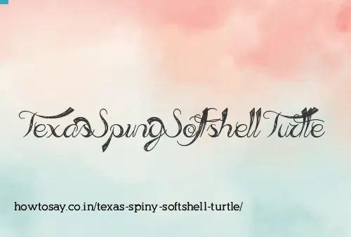 Texas Spiny Softshell Turtle