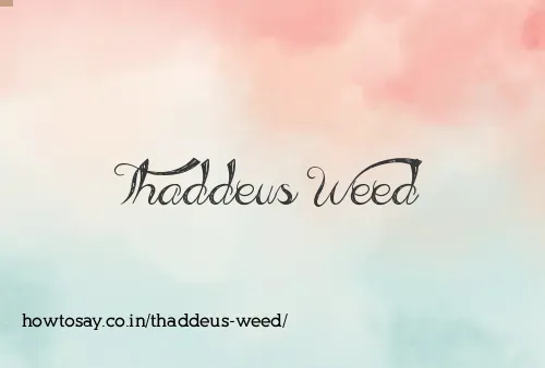 Thaddeus Weed