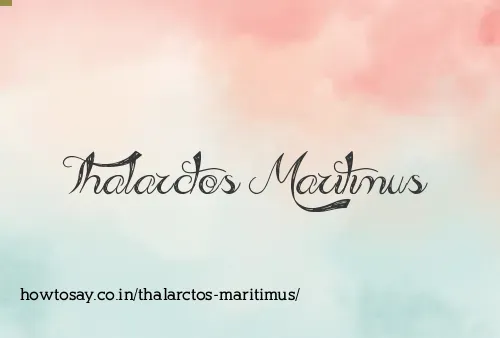 Thalarctos Maritimus
