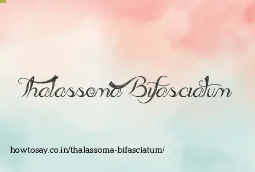Thalassoma Bifasciatum