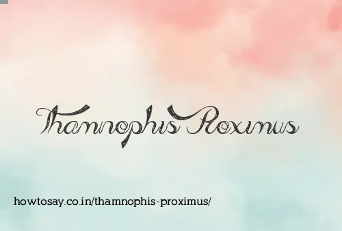 Thamnophis Proximus