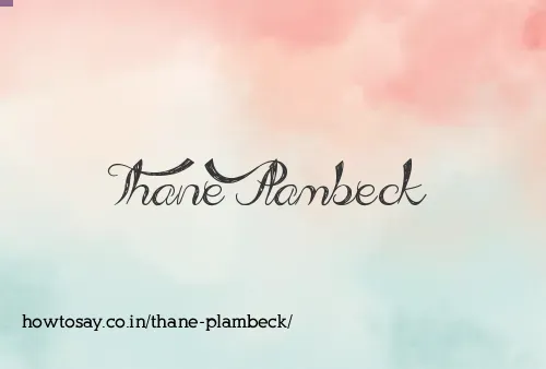 Thane Plambeck