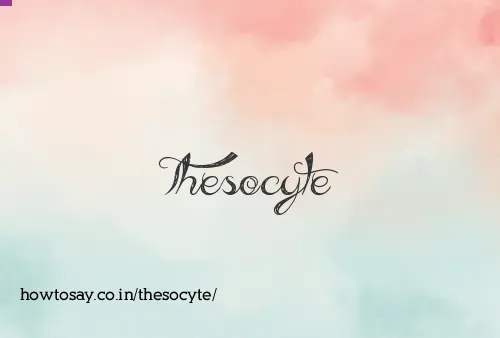 Thesocyte