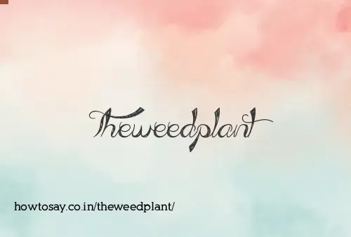 Theweedplant