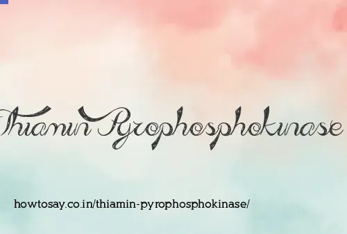 Thiamin Pyrophosphokinase