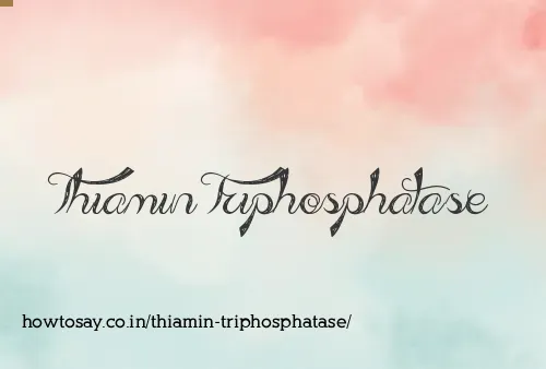 Thiamin Triphosphatase