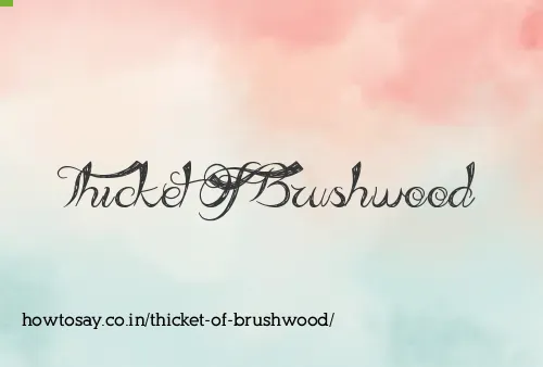 Thicket Of Brushwood
