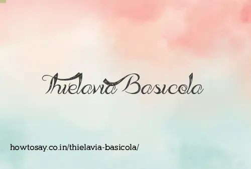 Thielavia Basicola