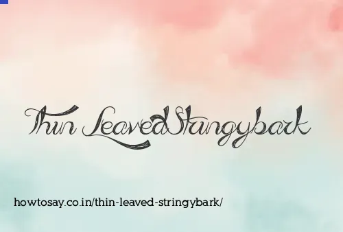 Thin Leaved Stringybark