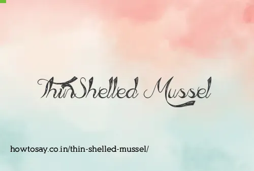 Thin Shelled Mussel