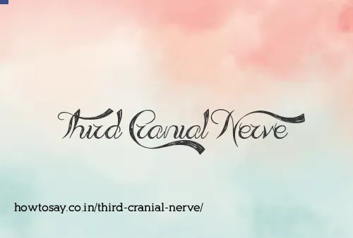 Third Cranial Nerve