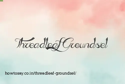 Threadleaf Groundsel
