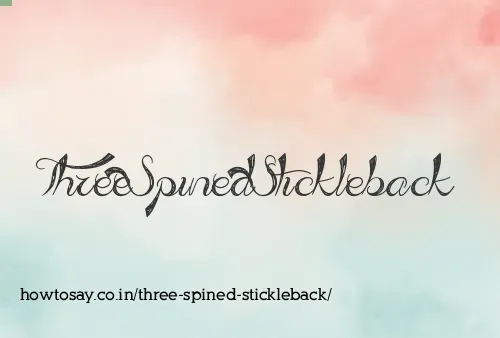 Three Spined Stickleback