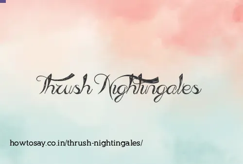 Thrush Nightingales