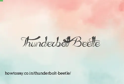 Thunderbolt Beetle