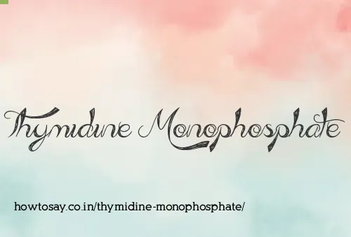 Thymidine Monophosphate