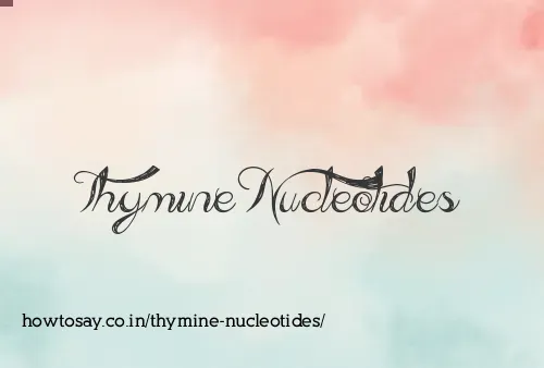 Thymine Nucleotides