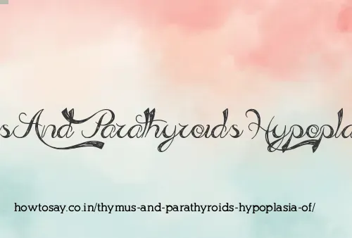 Thymus And Parathyroids Hypoplasia Of