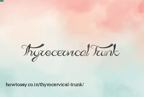 Thyrocervical Trunk