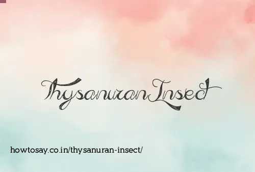 Thysanuran Insect