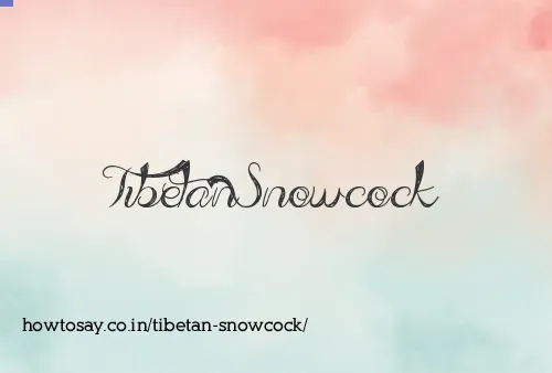 Tibetan Snowcock