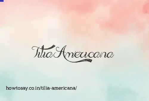 Tilia Americana