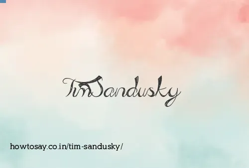 Tim Sandusky