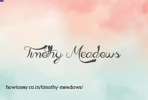 Timothy Meadows