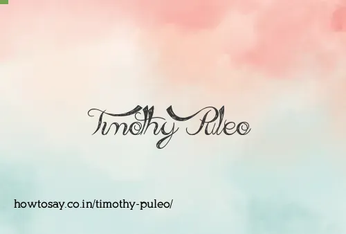 Timothy Puleo