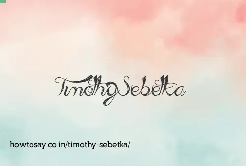 Timothy Sebetka
