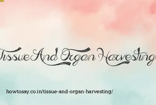 Tissue And Organ Harvesting