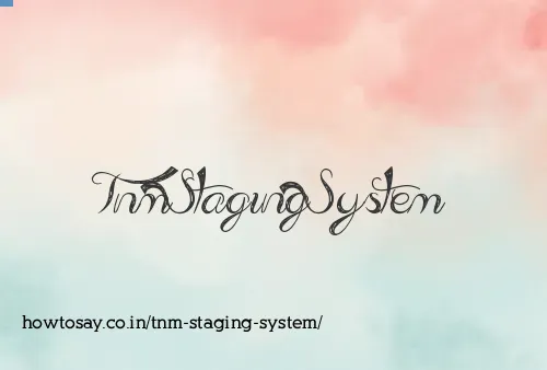 Tnm Staging System