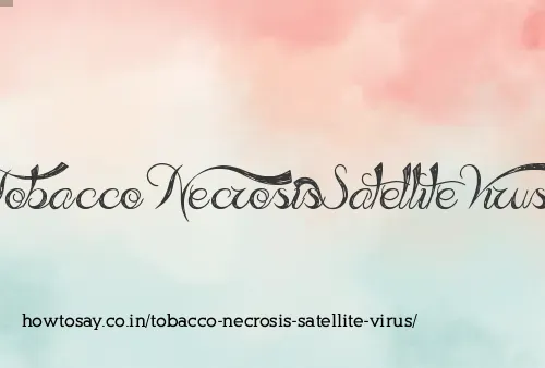 Tobacco Necrosis Satellite Virus