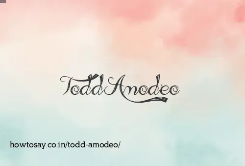 Todd Amodeo