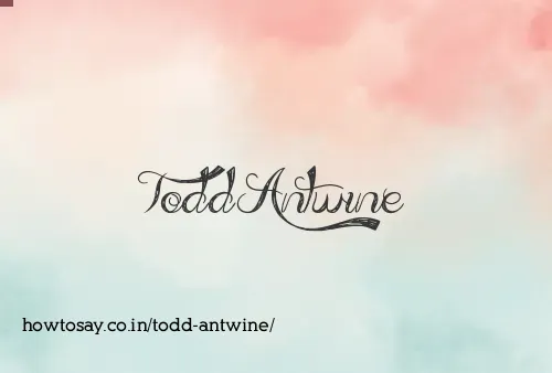 Todd Antwine