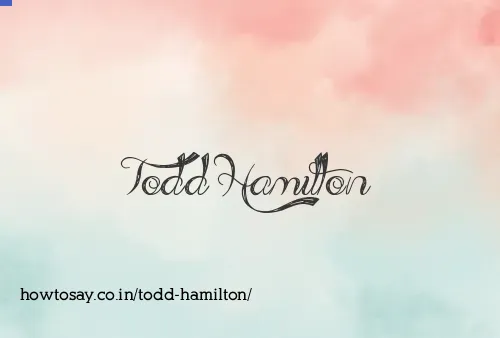 Todd Hamilton
