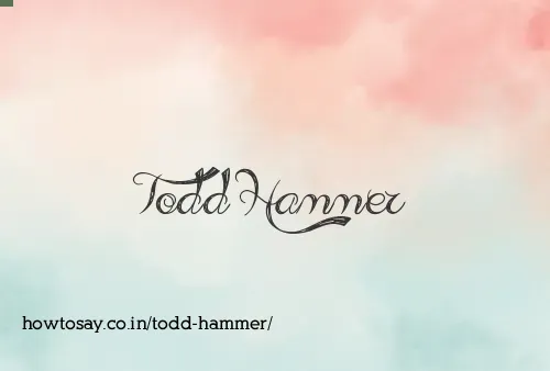 Todd Hammer