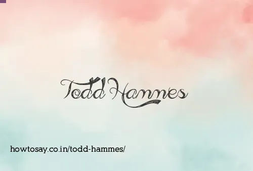 Todd Hammes