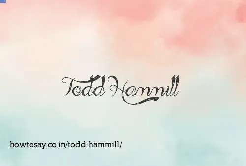 Todd Hammill