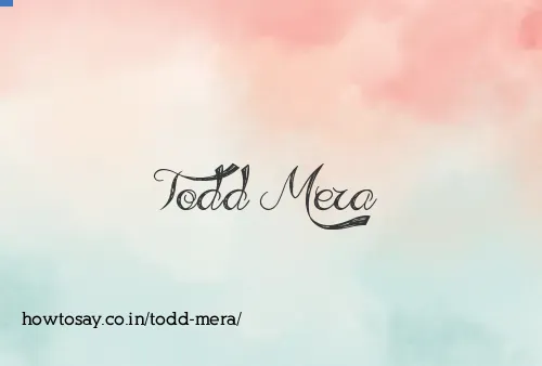 Todd Mera