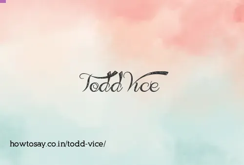 Todd Vice