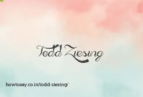 Todd Ziesing