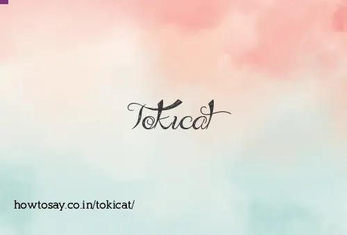 Tokicat