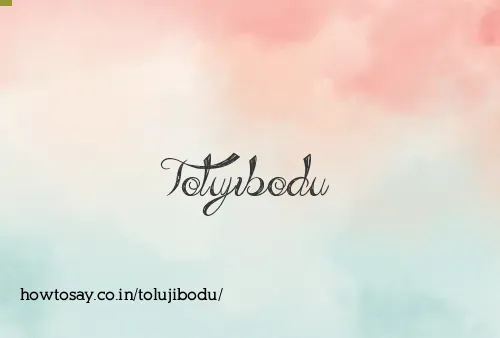 Tolujibodu