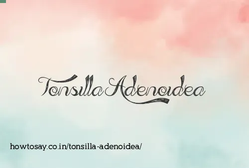 Tonsilla Adenoidea