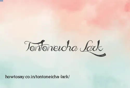Tontoneicha Lark