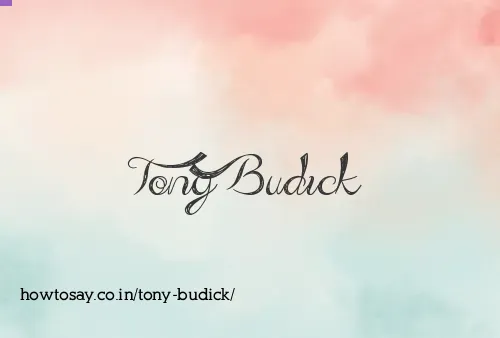 Tony Budick
