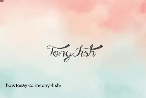 Tony Fish