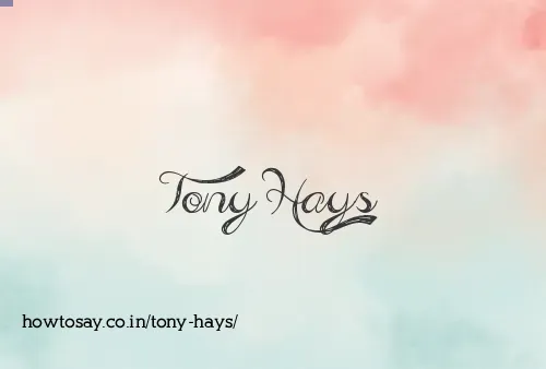 Tony Hays