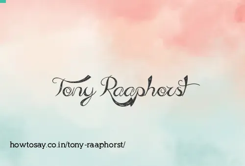 Tony Raaphorst